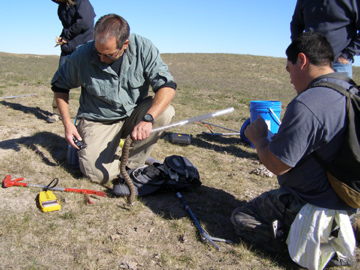 Dennis Ferraro handling a prairie rattlesnake