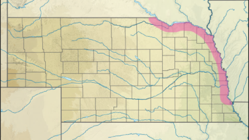 Updated False Map Turtle