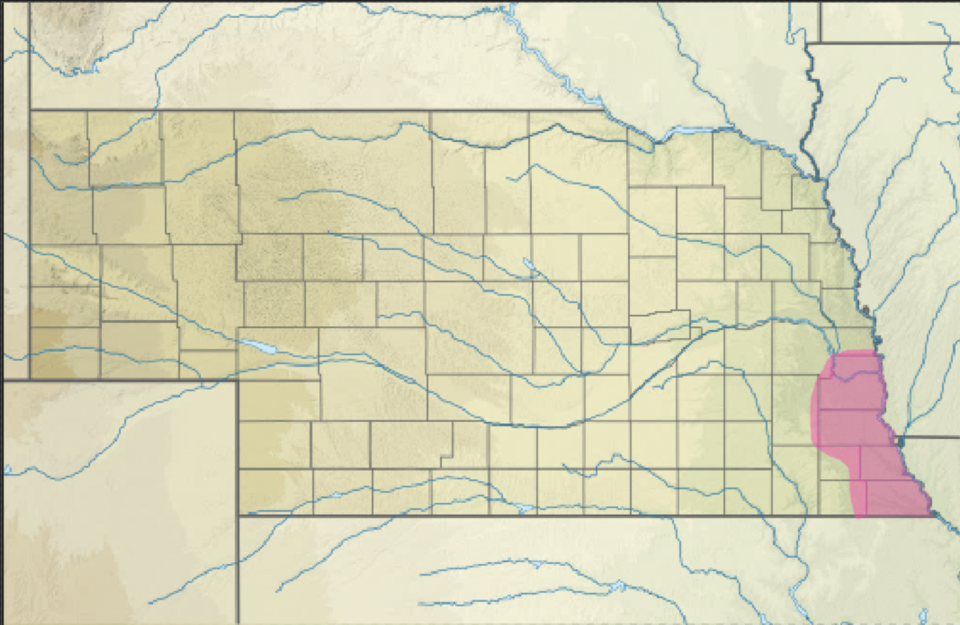 Western Worm Snake range map